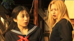 岸和田少年愚連隊 女番哀歌 (スケバンエレジイ)