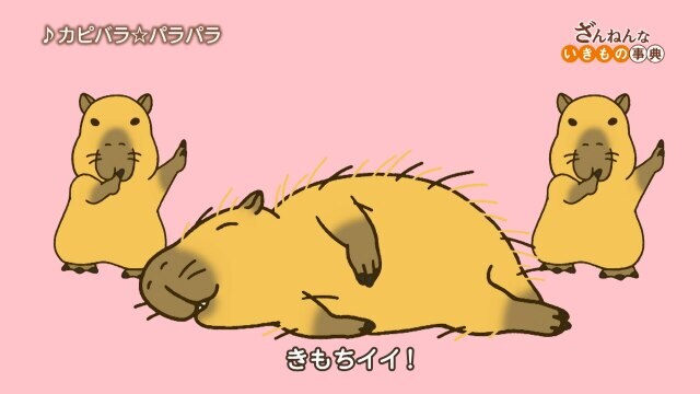 ざんねんないきもの事典 ep25 ハシビロコウはひたすら待ちの姿勢