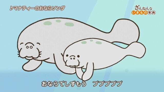 ざんねんないきもの事典 ep25 ハシビロコウはひたすら待ちの姿勢
