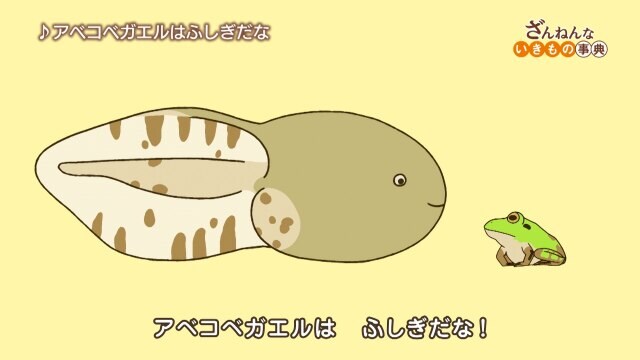 ざんねんないきもの事典 ep25 ハシビロコウはひたすら待ちの姿勢