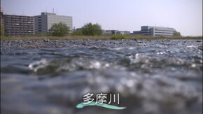 #4 多摩川 都会を潤す恵みの川(東京都・山梨県)