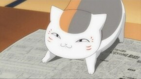 第十一話 ニャンコ徒然帳
