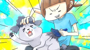 第6話 #21「ブラッシング」、#22「ほね」、#23「油断ならない」、#24「犬と猫」
