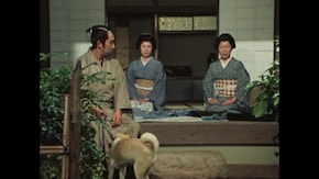 第10回 女房無用