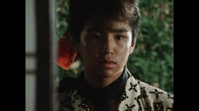 第39話 加代エリマキトカゲを目撃する