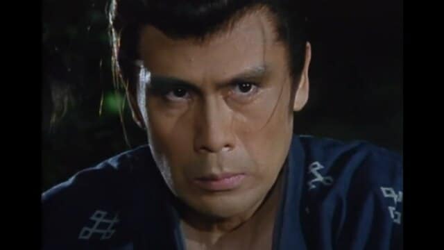 徳川武芸帳 柳生三代の剣 第1話 第一部 天下分け目の関ヶ原 その一 フル動画 |【無料体験】動画配信サービスのビデオマーケット