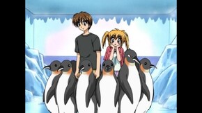 第70話 動物ワンサカてんこもり