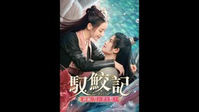 予告編