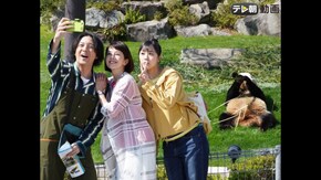 File7 消えたパンダの謎