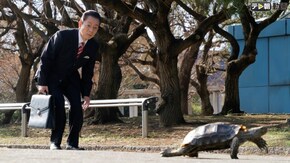 第7話 うさぎとかめ