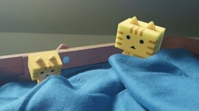 第5話 トラとコトラ