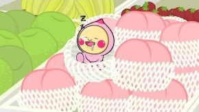 #39 モモの寝ている間に…