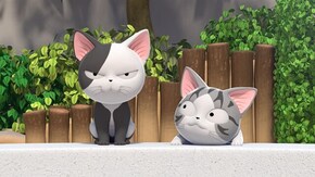#9 チー、勝負する