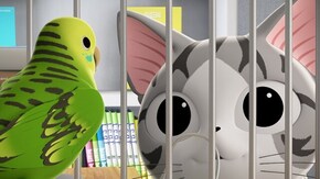 #10 チー、インコと会う