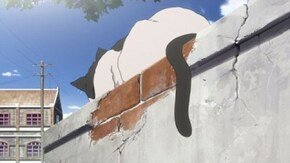 第4話 カメラと包子(パオズ)と野良猫と