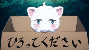 3話目 肉球肉球肉球…