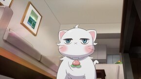 11話目 お家の中探検にゃ!