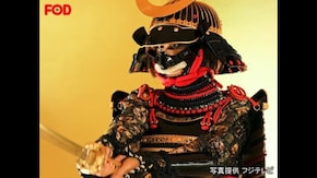#24 甲冑:島津義弘/鎧美女:和地つかさ