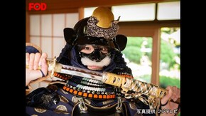 #68 甲冑:浅井長政/美女:来栖うさこ