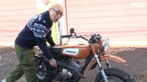 次々とバイソンなのだ。