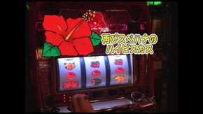 第294回 パチスロ超時空要塞マクロス/新鬼武者/サンサンハナハナ-30