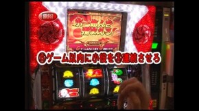 第299回 ドラゴンギャル~ルーと伝説の黄金龍~/秘宝伝~封じられた女神~
