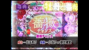 第六章 第8回 CRヱヴァンゲリヲン7/CR牡丹と薔薇