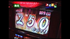 第74回 第6シーズン2回裏 木村魚拓@伊藤真一 後半戦 押忍!番長2/新世紀エヴァンゲリオン