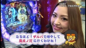 第239回 目標を決めての立ち回りバトル 秘宝伝 伝説への道/CR熱響!乙女フェスティバル ファン大感謝祭LIVE/CRA牙狼金色になれ~ザルバとの契約~