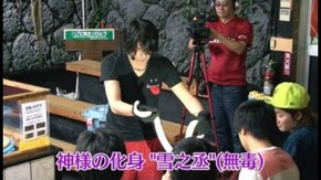 第3回 第3話 「奇跡の生還」 CRフィーバー海猿/CRスーパー海物語IN沖縄3