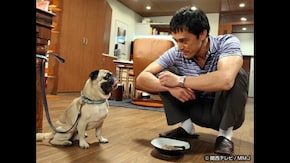 #8 犬がキライで悪いか!