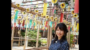 #61 緑あふれる自然に包まれた人気スポット