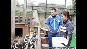 #54 水族園で1万3千匹の命を守る獣医師