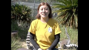 #169 霊長類専門動物園でサルたちと向き合う飼育員