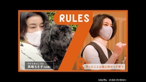 #248 人気ヴァイオリニスト・高嶋ちさ子の多忙な日々