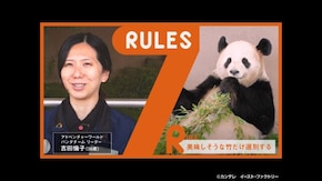 #249 日本最多のパンダファミリーを率いるリーダー
