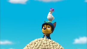 第36話 「パウ・バンドけっせい!」「ポップポップ!ポップコーン」