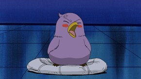 第17話 恐怖、学校のカイダン!?