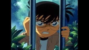 第437話 上戸彩と新一 4年前の約束