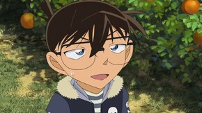 第924話 みかん畑に陽は沈む