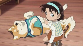 第1081話 愛犬パン君はおりこうさん