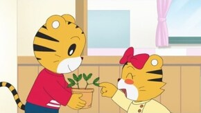 #3 ミツバチに会いたい