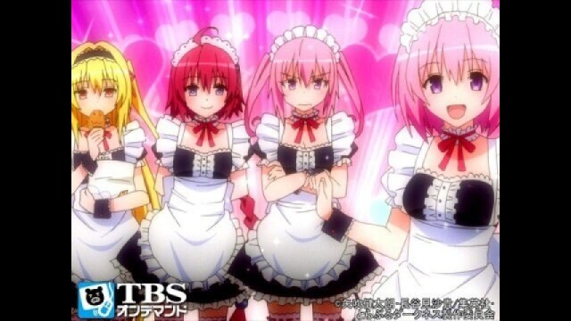 Ｔｏ　ＬＯＶＥるダークネス ８ To LOVEる―とらぶる― ダークネス 8／矢吹 健太朗／長谷見 沙貴