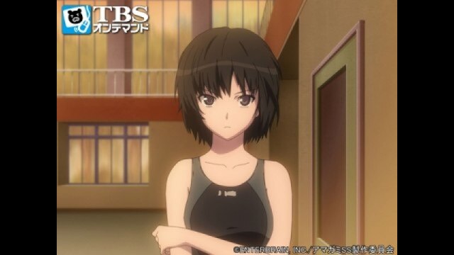 アマガミSS 第17話 桜井梨穂子編 第一章 オモイデ フル動画 |【無料