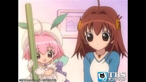 #13 「きらめき」みつけた!?