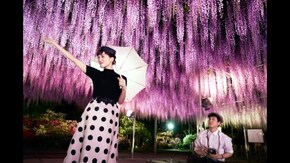 今夜、ロマンス劇場で