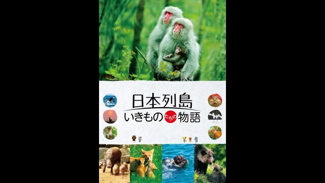 日本列島 いきものたちの物語 豪華版('12映画「日本列島 いきものたち