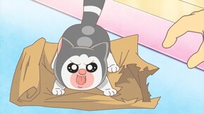 第17・18話 第17話「猪突猛進な猫」/第18話「「反省したフリ」を覚えた犬」