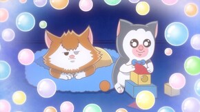 第21・22話 第21話「おばあちゃんと孫な猫たち」/第22話「健康を意識して家ヨガを始めたよ」