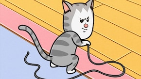 第33・34話 第33話「私の服のヒモを常に狙っている猫」/第34話「絶対薬を飲まない猫」